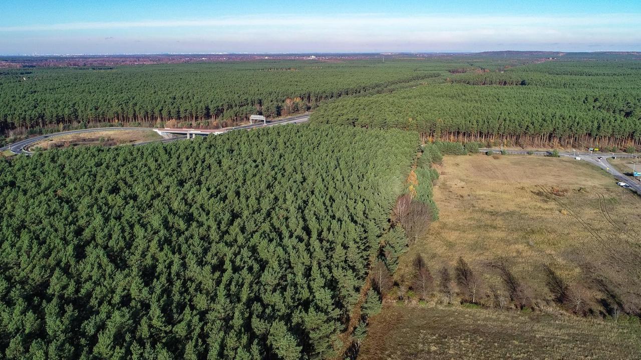 19.11.2019, Brandenburg, Freienbrink: Das Güterverkehrszentrum (GVZ) Freienbrink in der Gemeinde Grünheide östlich von Berlin. Links ist die Autobahn 10 (Berliner Ring) zu sehen. In dem riesigen Waldgebiet rechts der Autobahn plant Tesla den Bau einer Gigafactory. Foto: Patrick Pleul/dpa-Zentralbild/ZB | Verwendung weltweit 19.11.2019, Brandenburg, Freienbrink: Das Güterverkehrszentrum (GVZ) Freienbrink in der Gemeinde Grünheide östlich von Berlin. Links ist die Autobahn 10 (Berliner Ring) zu sehen. In dem riesigen Waldgebiet rechts der Autobahn plant Tesla den Bau einer Gigafactory. Foto: Patrick Pleul/dpa-Zentralbild/ZB | Verwendung weltweit