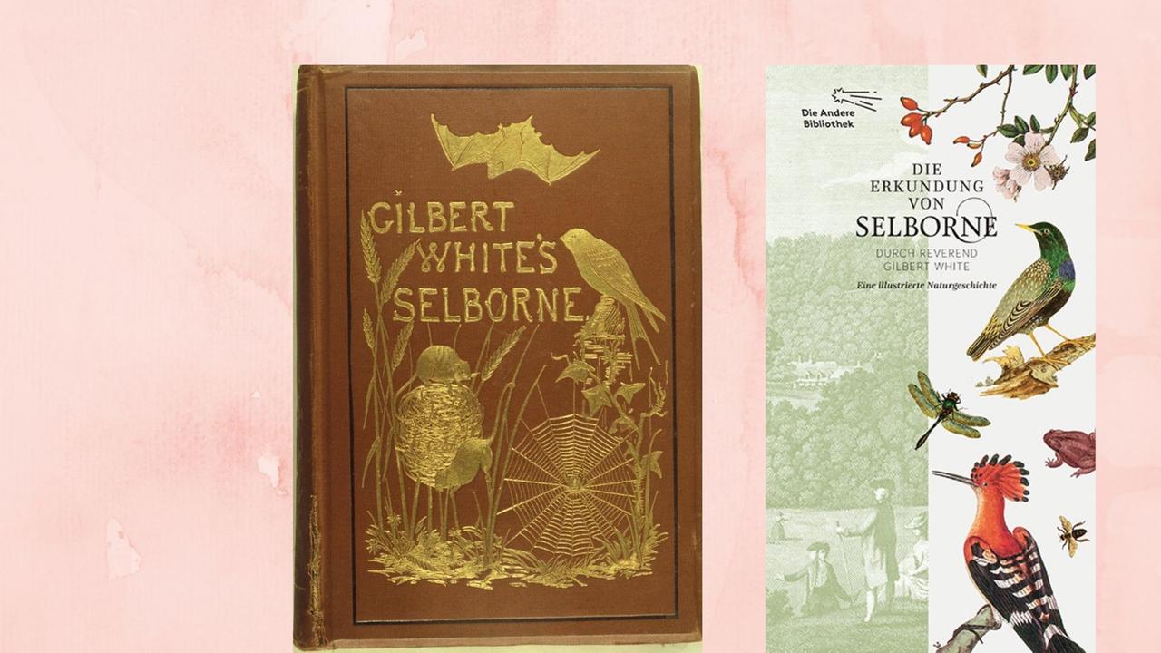Zeitgenössisches englisches Buchcover und aktuelles Buchcover zu Gilbert White: „Die Erkundung von Selborne"