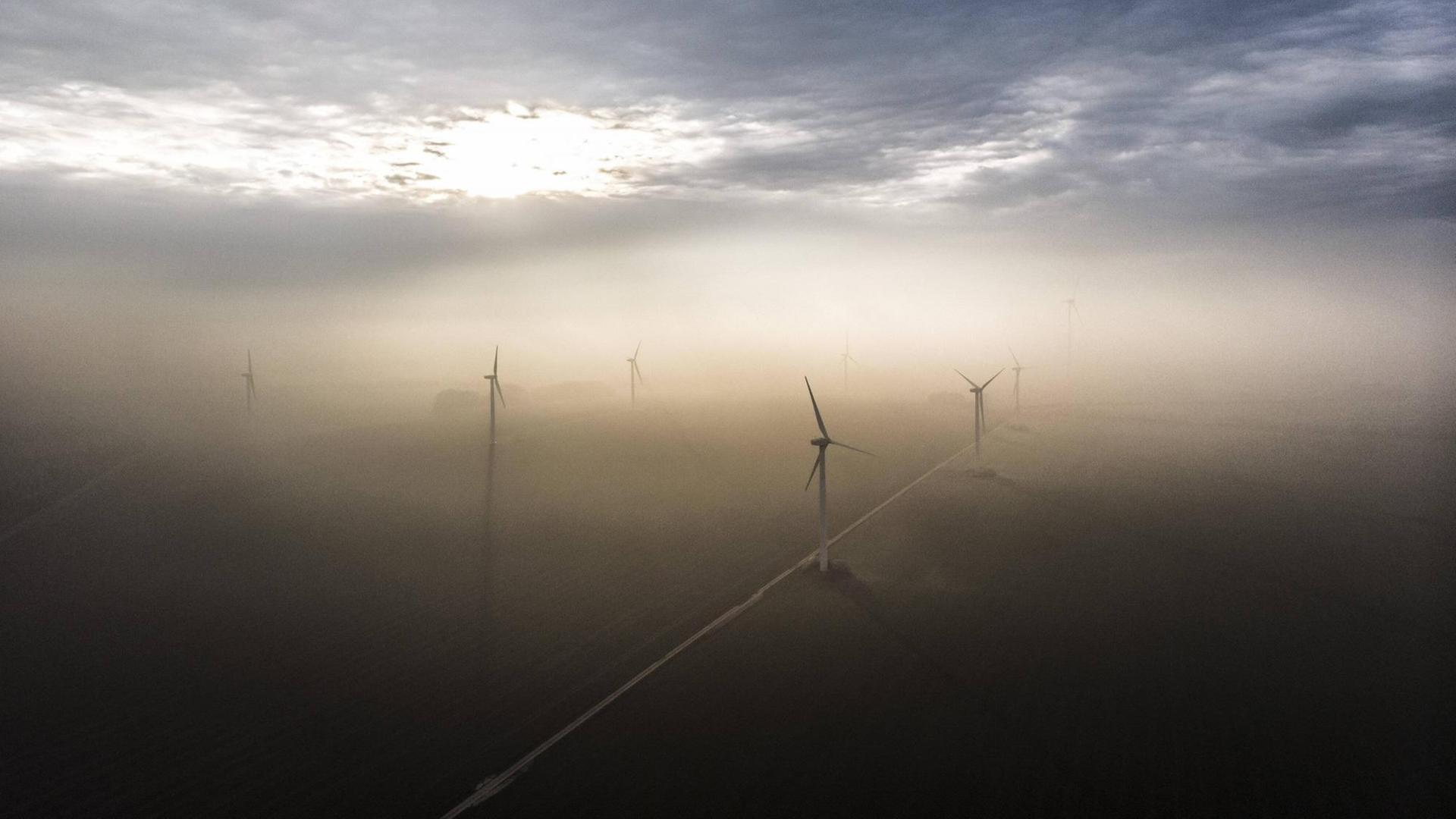 Windraeder im Nebel bei untergehender Sonne Windraeder im Nebel bei untergehender Sonne