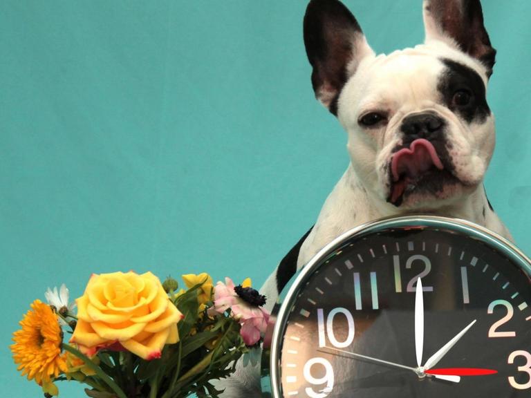 Ein kleiner Hund ist hinter einer großen Uhr zu sehen, daneben ein Blumenstrauß