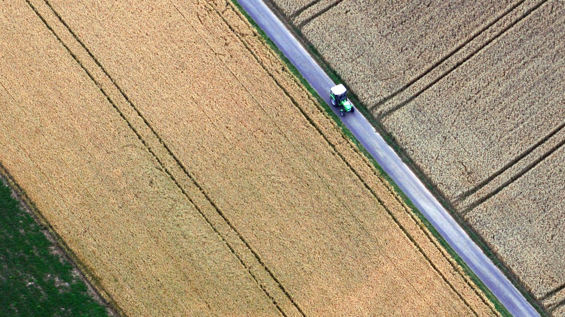 Blick aus einem Heissluftballon auf Getreidefelder bei Limburg, zwischen denen ein Traktor fährt, aufgenommen am 22.07.2008. Blick aus einem Heissluftballon auf Getreidefelder bei Limburg, zwischen denen ein Traktor fährt, aufgenommen am 22.07.2008.