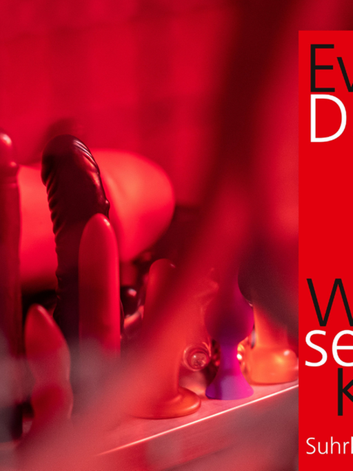 Das Cover von Eva Illouz, Dana Kaplan: „Was ist sexuelles Kapital?“ vor Sexualspielzeug
