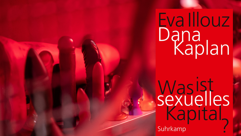 Das Cover von Eva Illouz, Dana Kaplan: „Was ist sexuelles Kapital?“ vor Sexualspielzeug Das Cover von Eva Illouz, Dana Kaplan: „Was ist sexuelles Kapital?“ vor Sexualspielzeug
