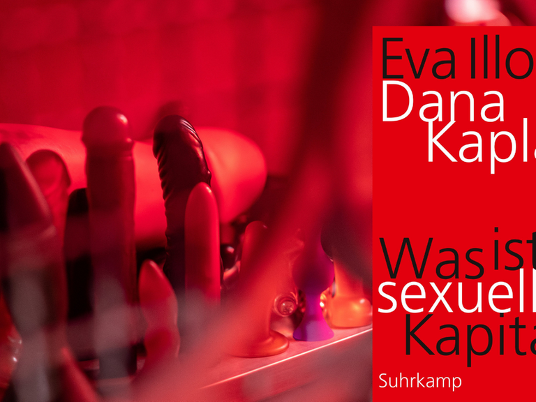 Das Cover von Eva Illouz, Dana Kaplan: „Was ist sexuelles Kapital?“ vor Sexualspielzeug