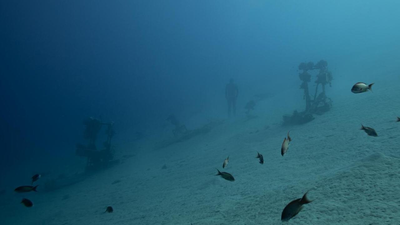Ein Taucher ist auf dem Meeresgrund zu sehen. Neben ihm sind Fische, das Wasser ist trüb. Ein Taucher ist auf dem Meeresgrund zu sehen. Neben ihm sind Fische, das Wasser ist trüb.