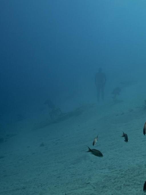 Ein Taucher ist auf dem Meeresgrund zu sehen. Neben ihm sind Fische, das Wasser ist trüb.
