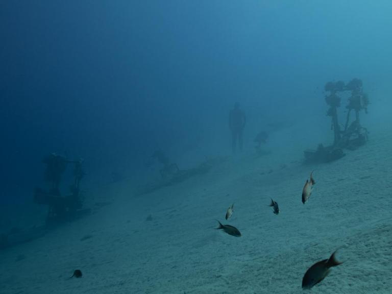 Ein Taucher ist auf dem Meeresgrund zu sehen. Neben ihm sind Fische, das Wasser ist trüb.