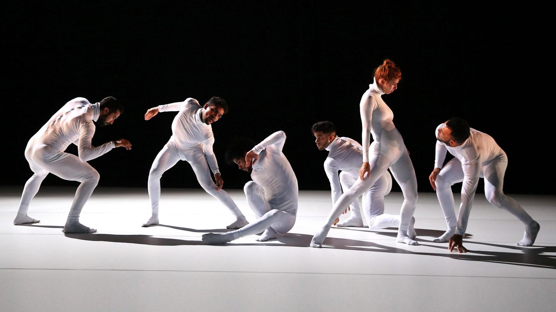 Die Malpaso Dance Company beim Sommerfestival 2018 auf Kampnagel Die Malpaso Dance Company beim Sommerfestival 2018 auf Kampnagel