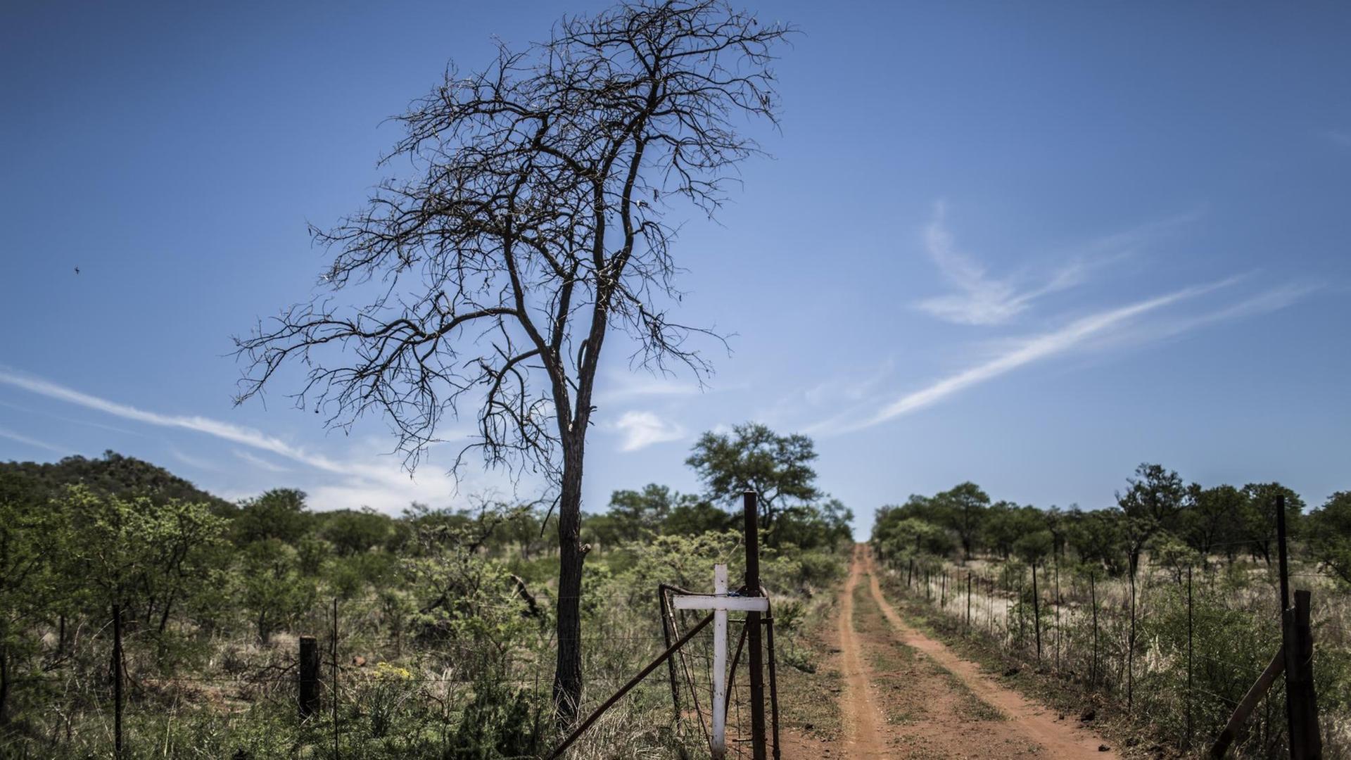 A cross mounted on a fence marks the road to the White Cross Monument, where other crosses are planted to commemorate white farmers who have been killed in a farm murder, on October 31, 2017, in Ysterberg, near Langebaan, South Africa. A long campaign of violence against the country's farmers, who are largely white, has inflamed political and racial tensions nearly a quarter-of-a-century after the fall of apartheid. / AFP PHOTO / GULSHAN KHAN