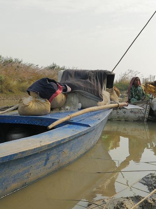 Fischerboote während der Baumwollernte im Punjab