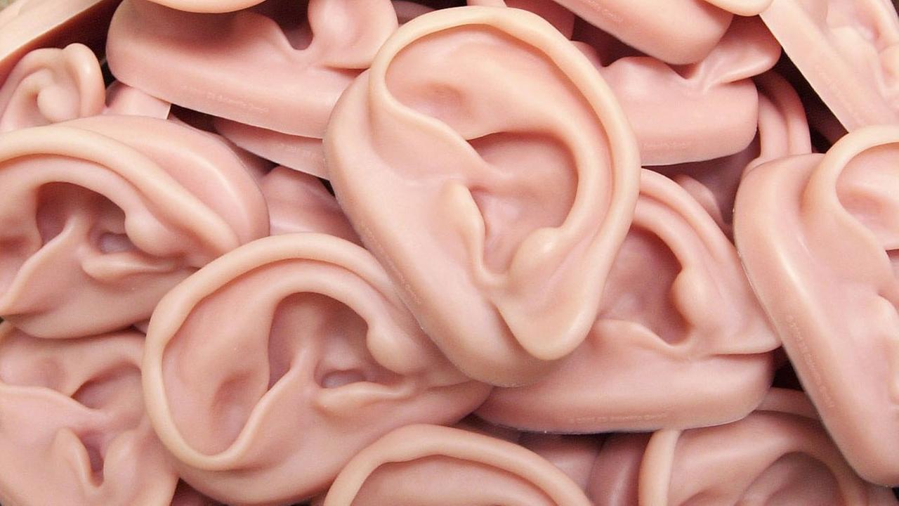 Nachbildungen menschlicher Ohren