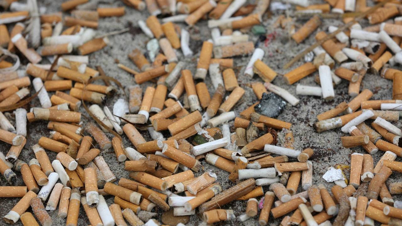 Auf dem Boden liegen unzählige Zigarettenkippen. Auf dem Boden liegen unzählige Zigarettenkippen.