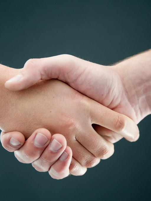 Zwei Personen geben sich die Hand. 