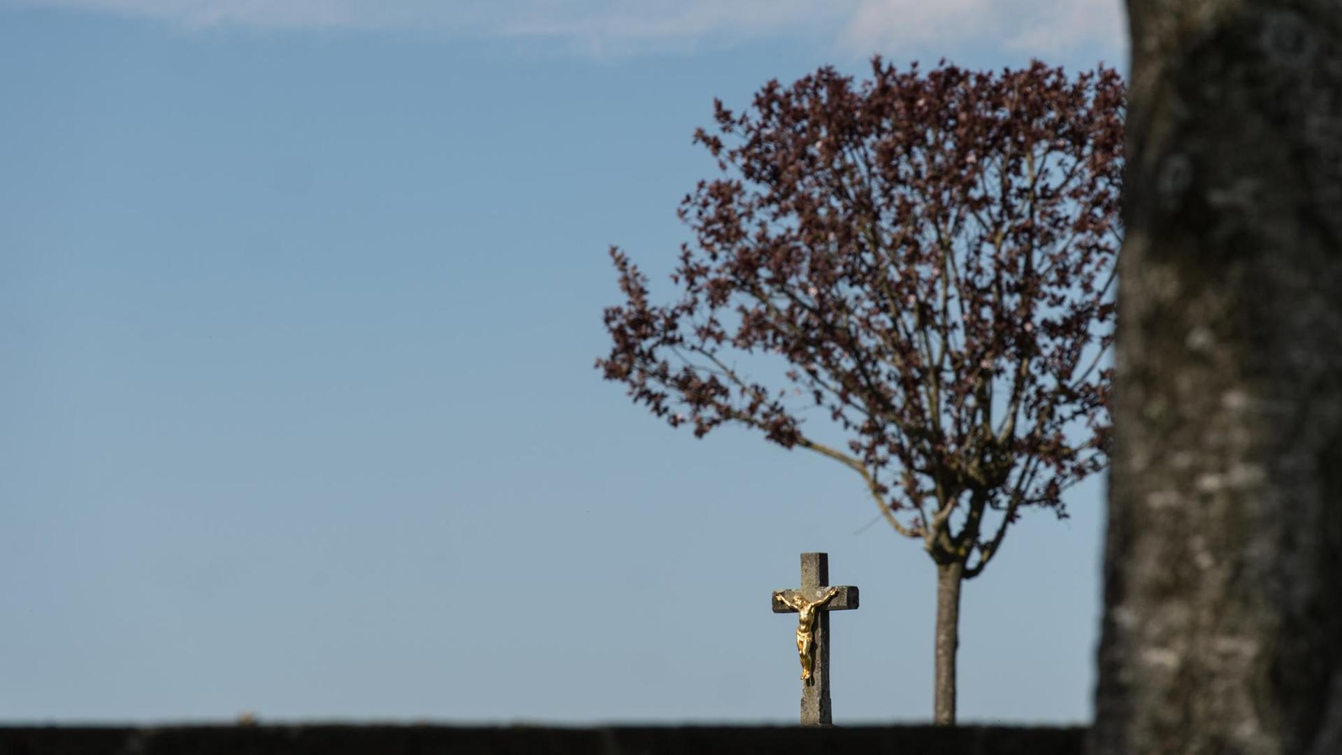 Eine Jesusfigur unter einem Baum Eine Jesusfigur unter einem Baum