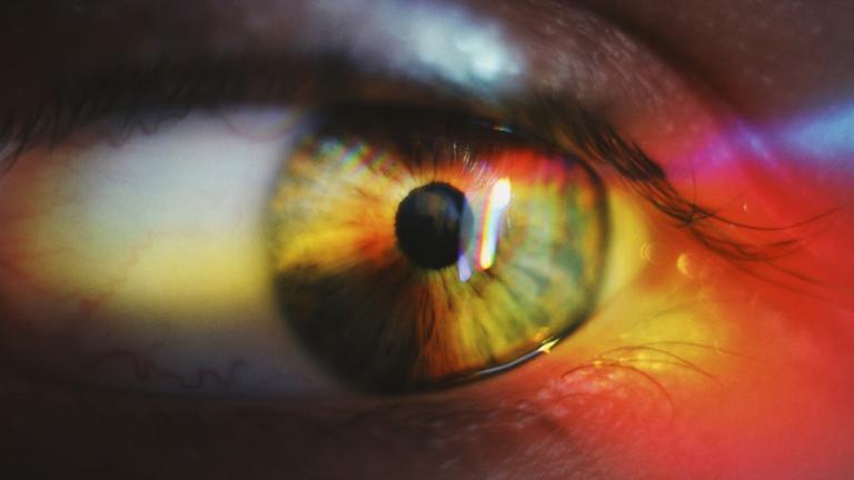 Ein Auge und eine Kontaktlinse Ein Auge und eine Kontaktlinse
