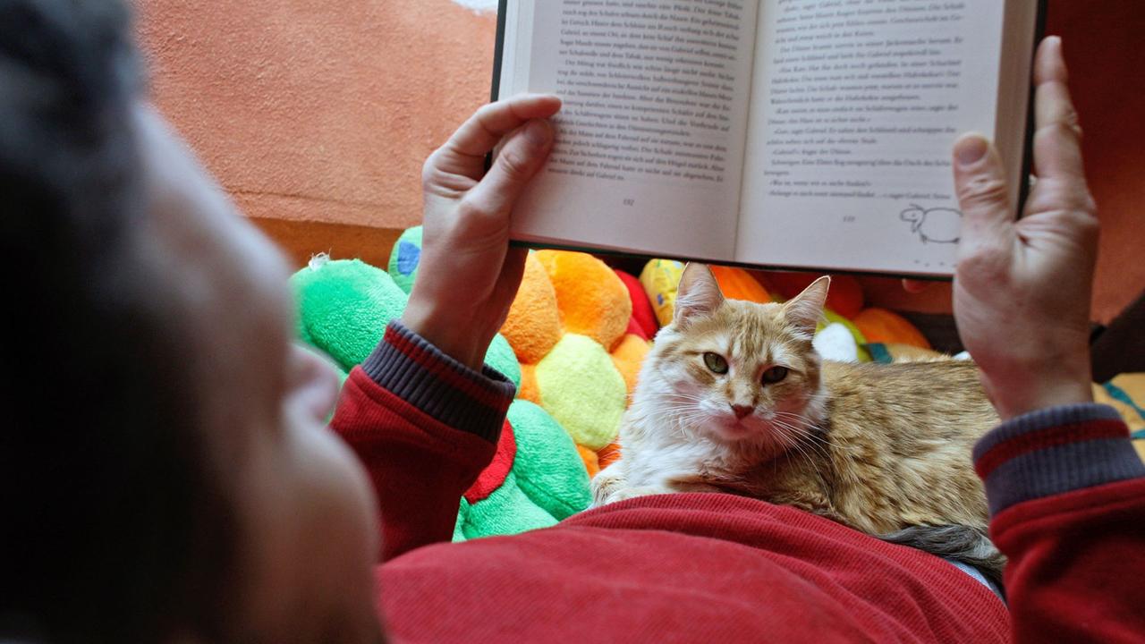 Ein Lesender, die Katze auf dem Schoß