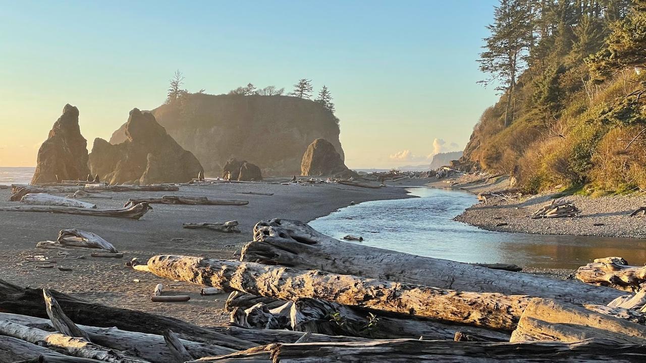 Ein Strand mit Treibholz im Vordergrund und hohen Felsen am Strand im Hintergrund. Ein Strand mit Treibholz im Vordergrund und hohen Felsen am Strand im Hintergrund.