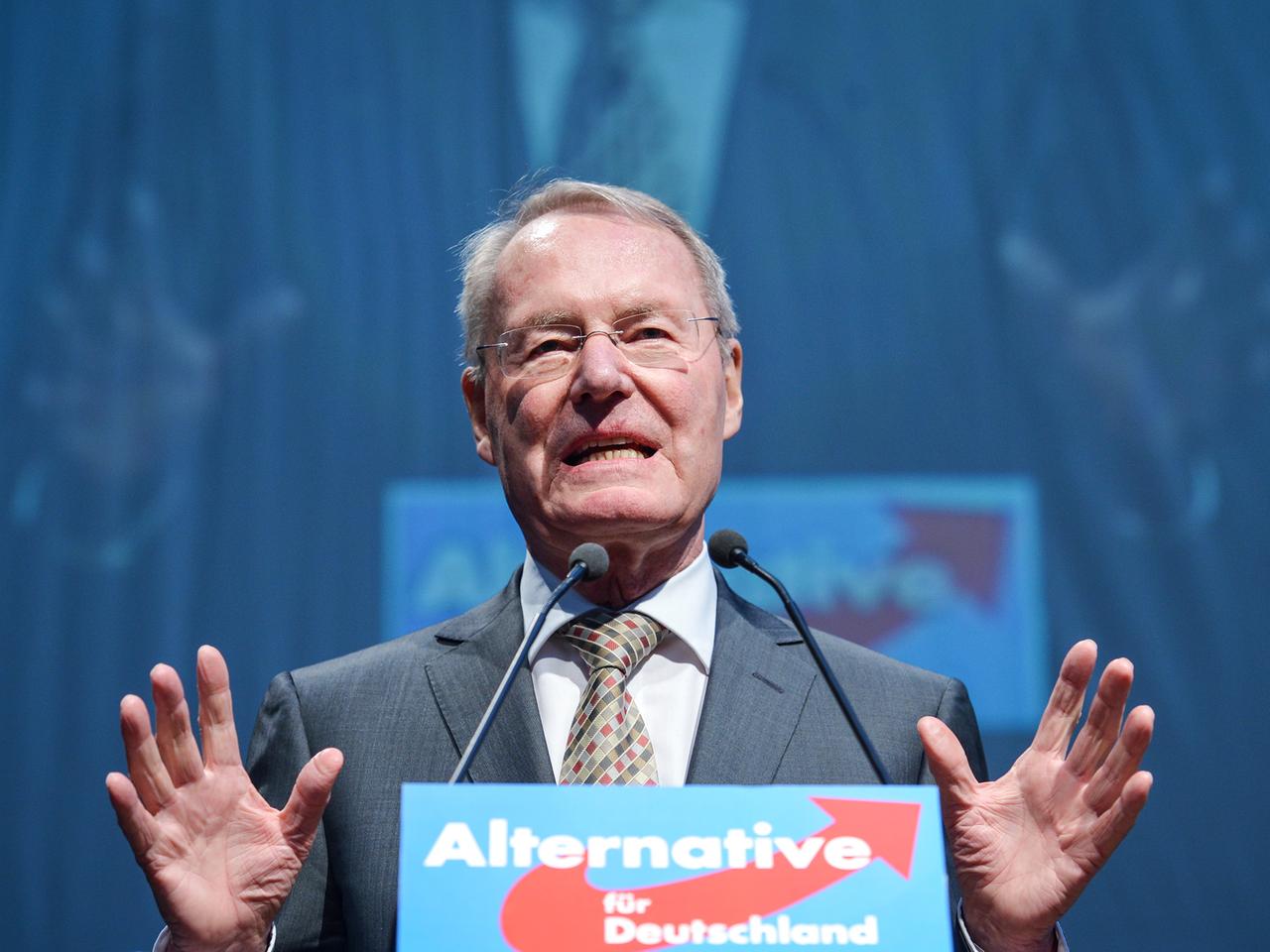 Hans-Olaf Henkel spricht auf dem AfD-Parteitag Hans-Olaf Henkel spricht auf dem AfD-Parteitag