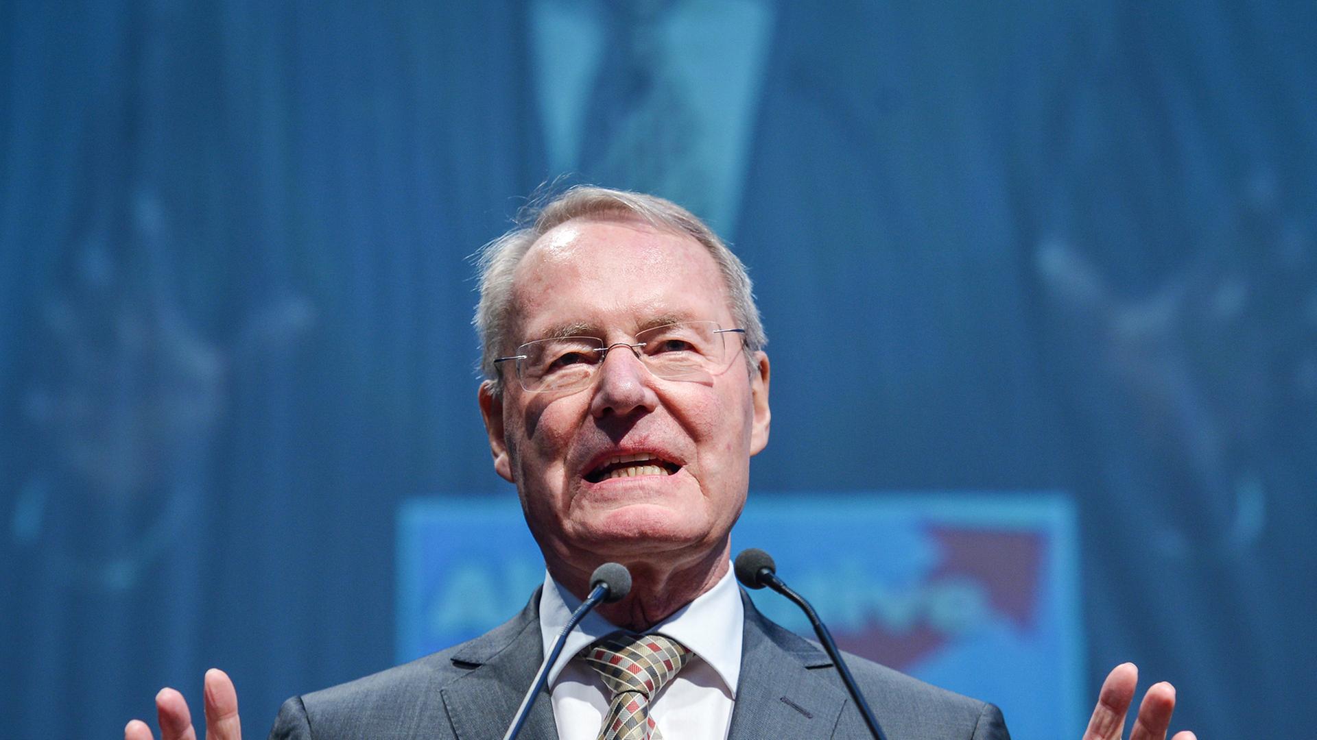 Hans-Olaf Henkel spricht auf dem AfD-Parteitag Hans-Olaf Henkel spricht auf dem AfD-Parteitag