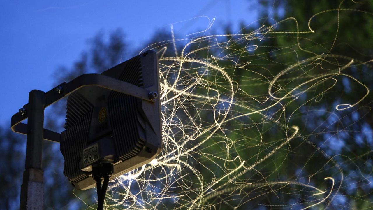 Flugspuren von Insekten, die völlig orientierungslos und unter massiven Stress von grellen LED Scheinwerfern angelockt werden. Flugspuren von Insekten, die völlig orientierungslos und unter massiven Stress von grellen LED Scheinwerfern angelockt werden.