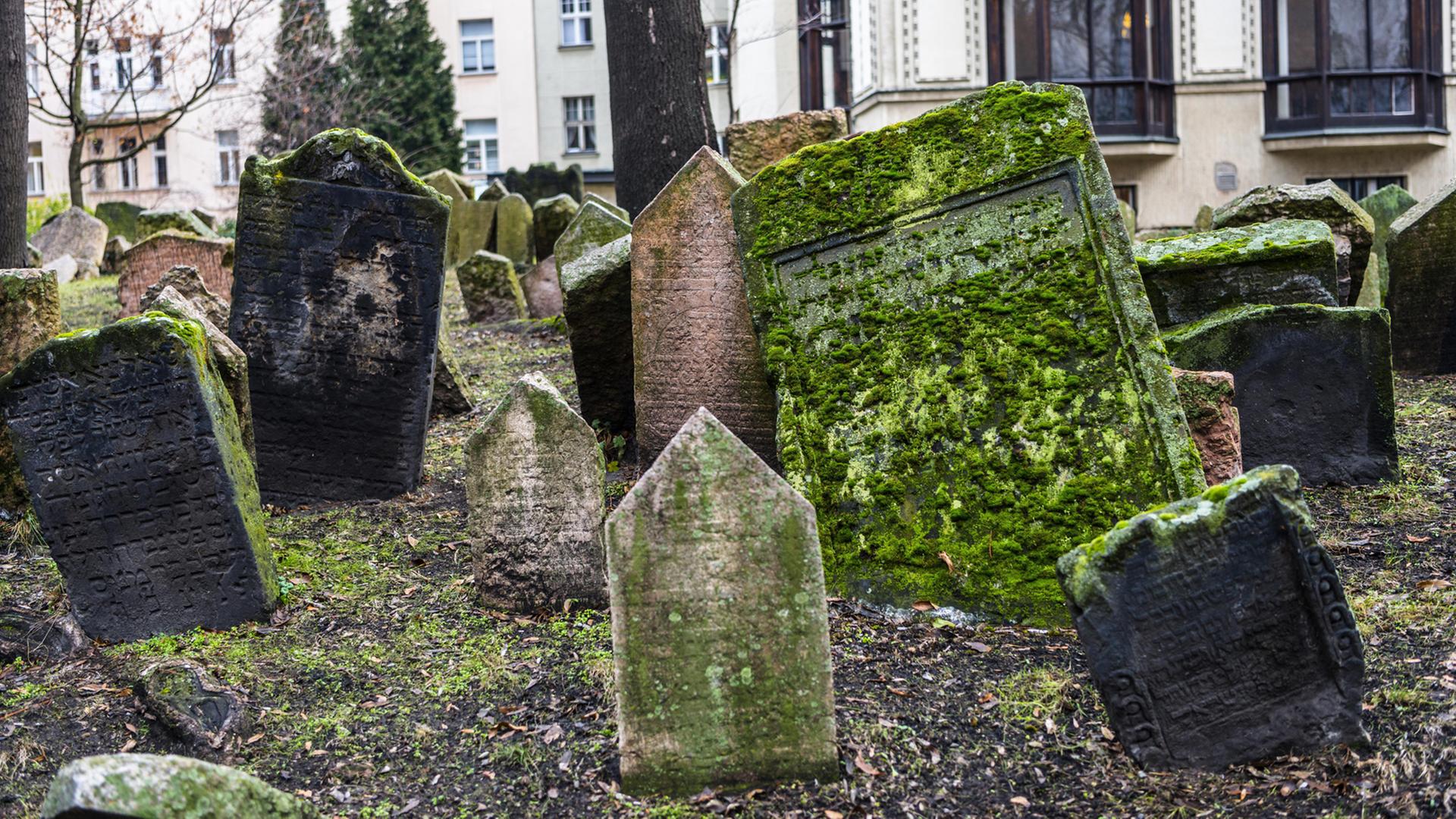 Grabsteine auf dem alten JüdischenFriedhof in der Josefstadt in Prag, Tschechien. Im Hintergrund das Jüdische Museum.
