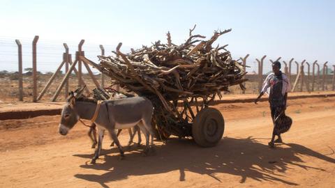 Ein Zaun mit Stacheldraht an Kenias Grenze zu Somalia. Davor ein Karren mit Feuerholz, der von einem Esel gezogen wird.
