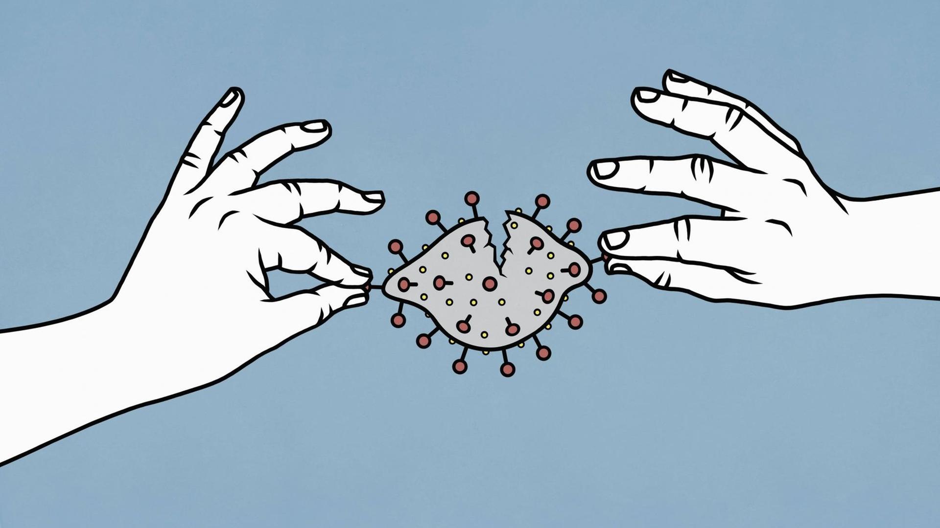 Zwei Hände ziehen ein Coronavirus auseinander, das zerreisst.