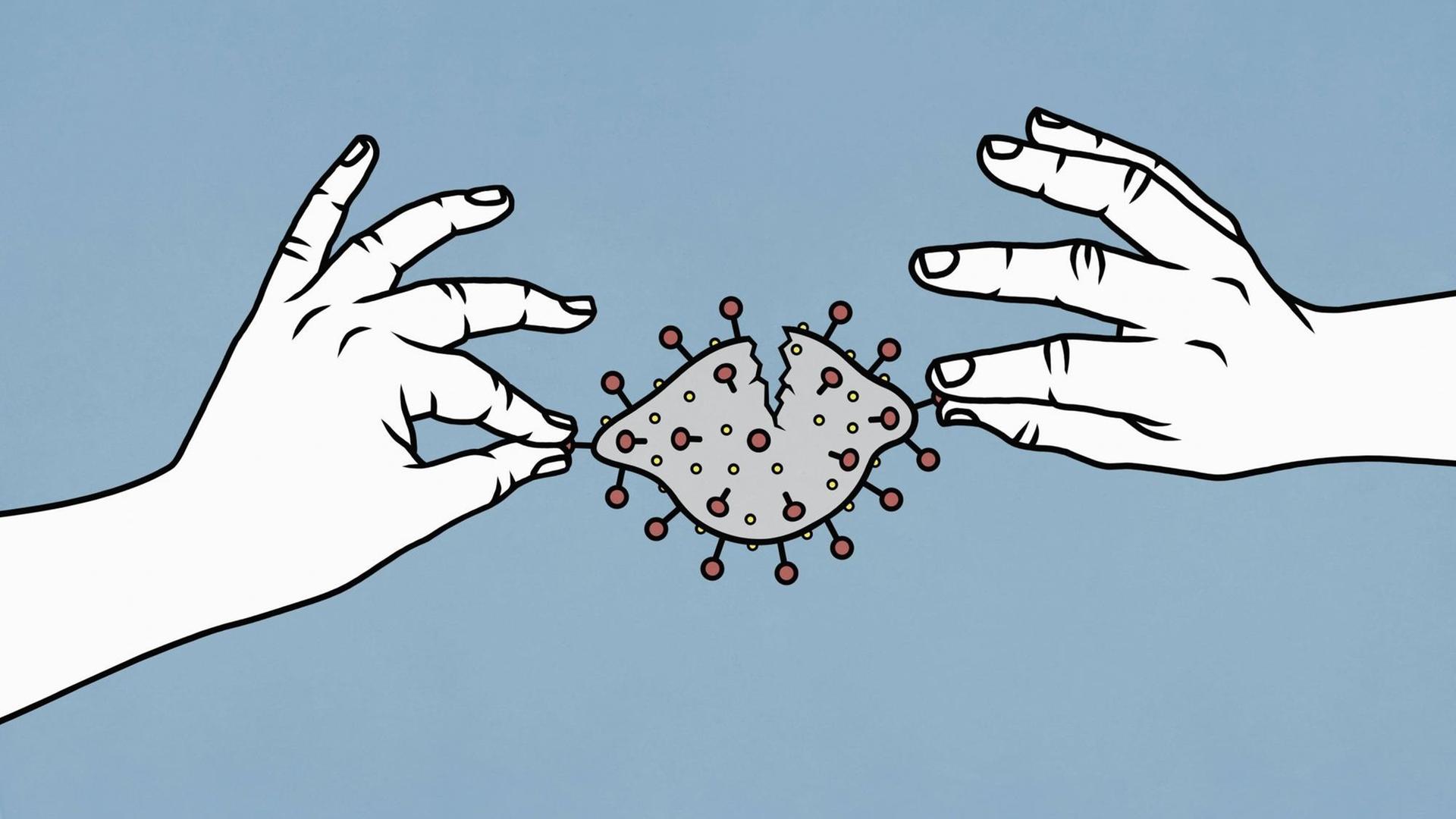Zwei Hände ziehen ein Coronavirus auseinander, das zerreisst. Zwei Hände ziehen ein Coronavirus auseinander, das zerreisst.
