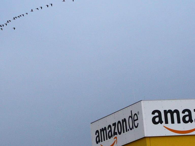 Vögel fliegen am 22.09.2014 über dem Handelszentrum des Versandhändler Amazon in Graben (Bayern).
