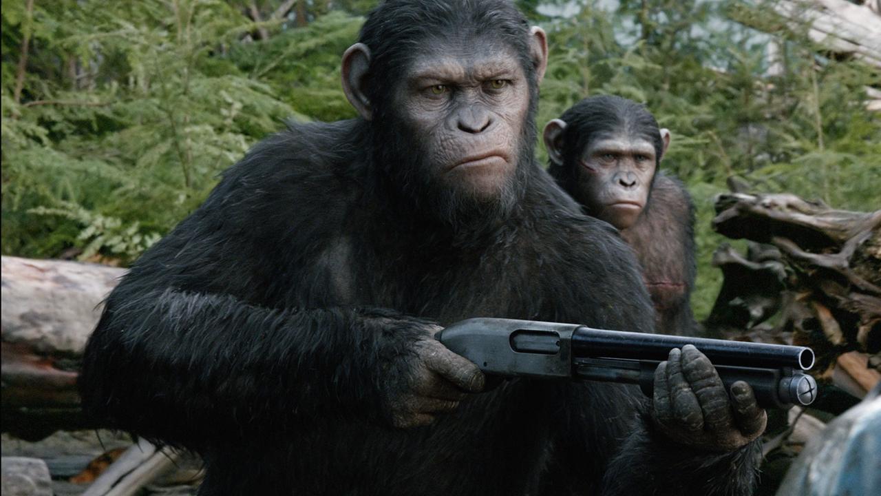 Leider liegt für dieses Bild keine Bildbeschreibung vor Leider liegt für dieses Bild keine Bildbeschreibung vor