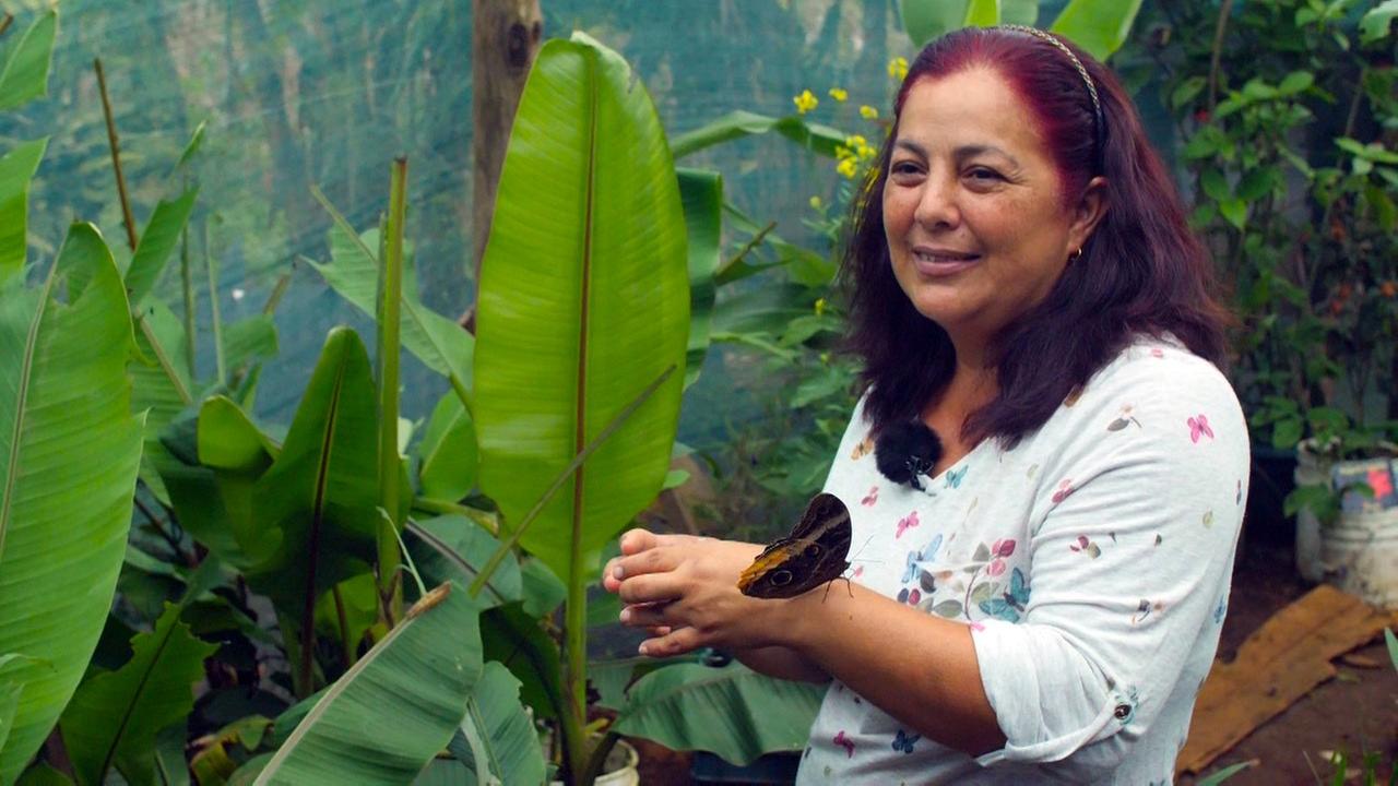Jenny Víquez im Schmetterlingsgarten Jenny Víquez im Schmetterlingsgarten