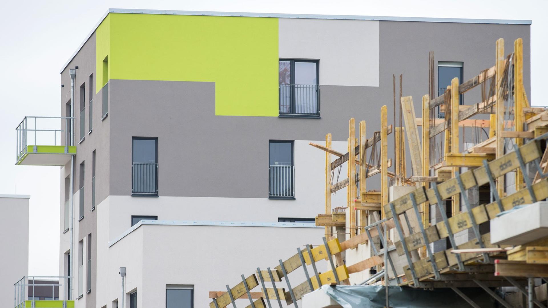 Wohnungsbau in Kölln Wohnungsbau in Kölln