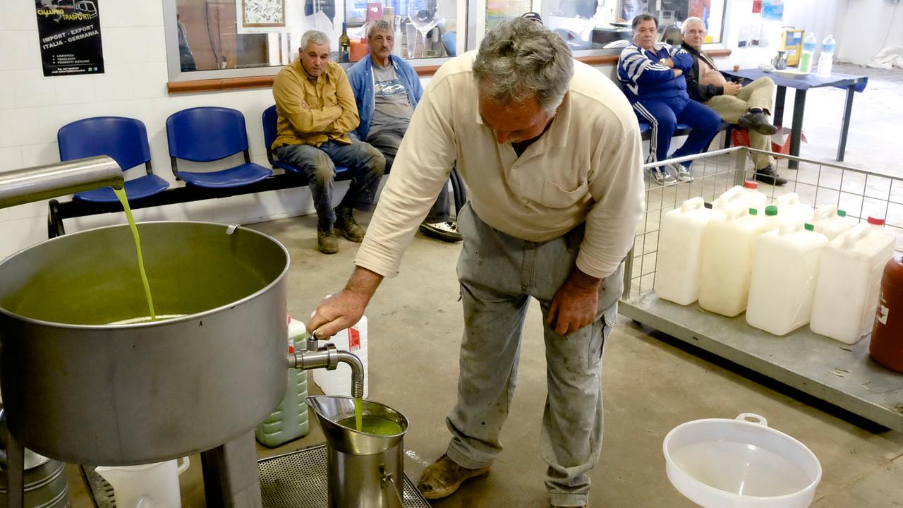 Herstellung von Olivenöl in Trappeto