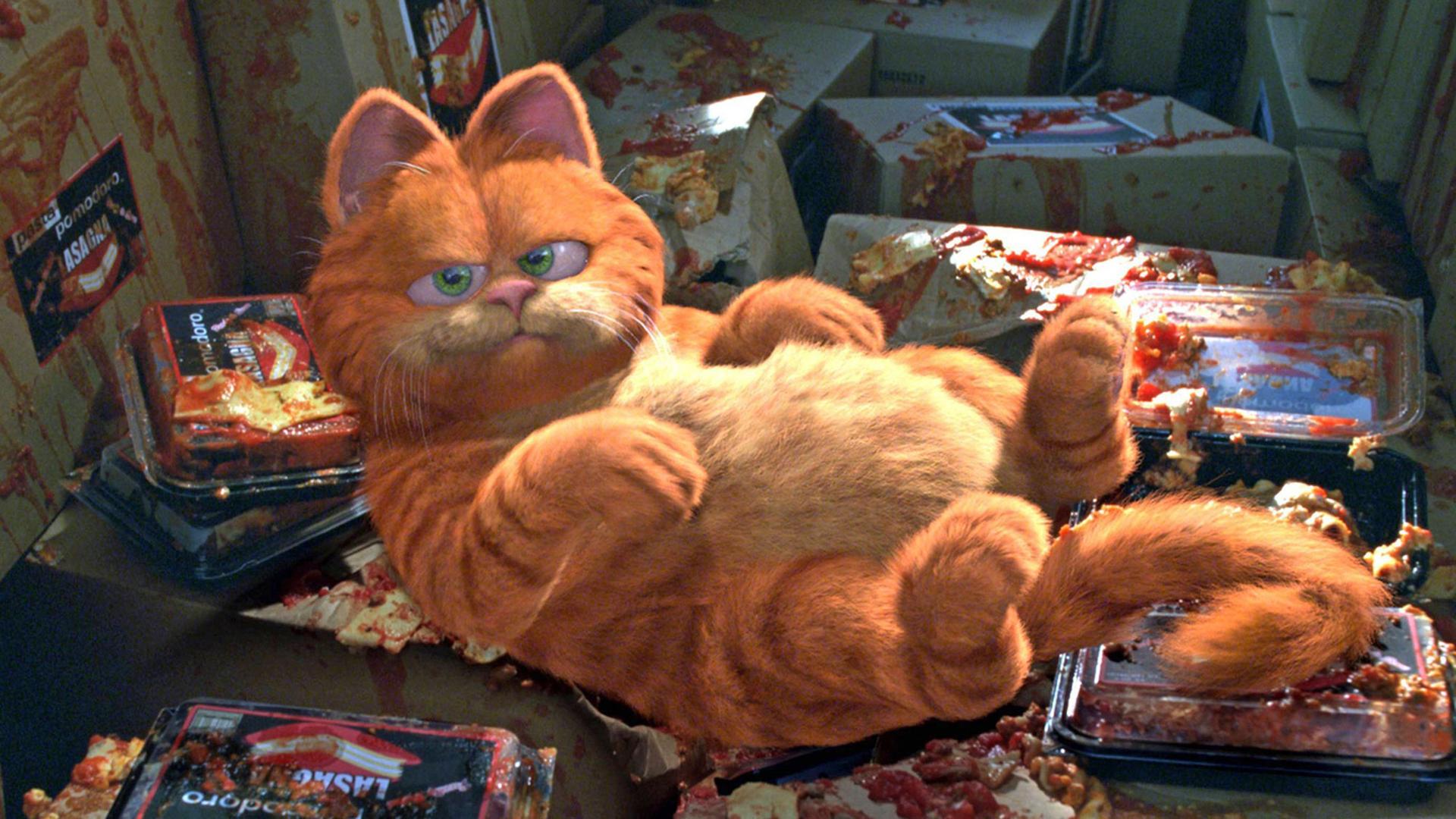 Satt und zufrieden: Kater Garfield liegt auf dem Rücken, umgeben von leeren Packungen Fertiglasagne.