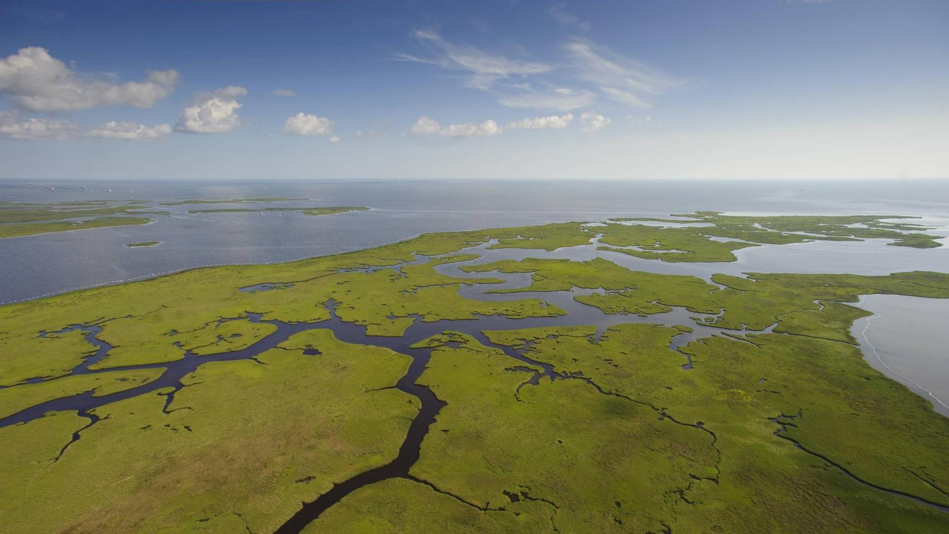 Marschland des Mississippi-Deltas von oben. Marschland des Mississippi-Deltas von oben.