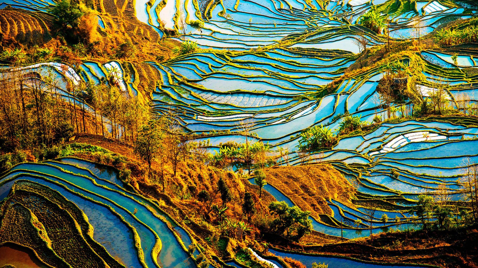 Die Honghe Hani Reisterrassen in China, ein UNESCO Weltkulturerbe Die Honghe Hani Reisterrassen in China, ein UNESCO Weltkulturerbe