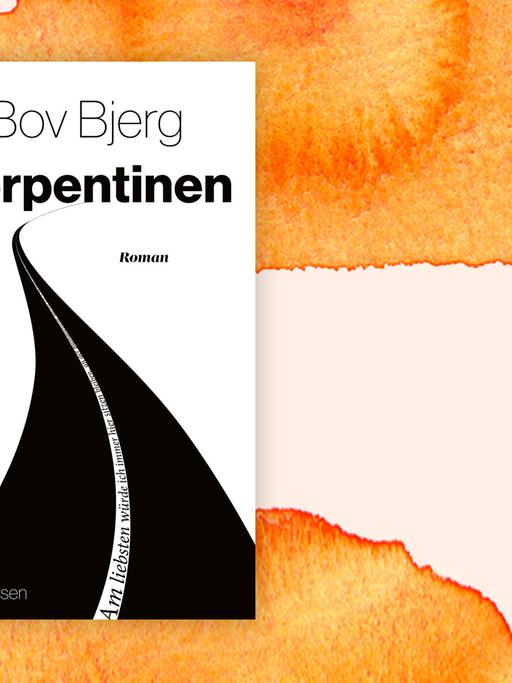 Das Bild zeigt das Cover vom neuen Buch von Bov Bjerg. Es heißt "Serpentinen".