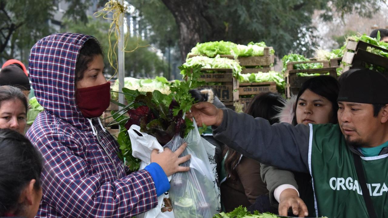 Gemüseproduzenten sind in die Hauptstadt gekommen und verschenken auf der Straße Salatköpfe, Kohl und Spinat Gemüseproduzenten sind in die Hauptstadt gekommen und verschenken auf der Straße Salatköpfe, Kohl und Spinat