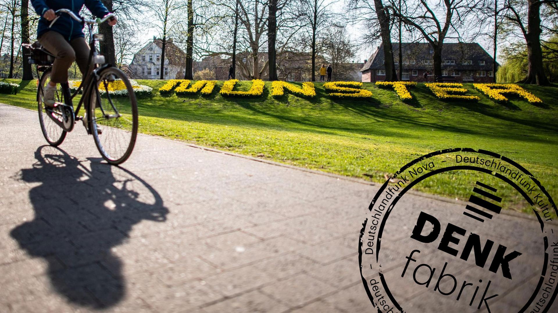 Eine Radfahrerin fährt auf der Promenade entlang, im Hintergrund steht der Schriftzug «Münster», aus Blumen gefertigt. Der ADFC-Fahrradklima-Test 2018 ist eine Befragung mit dem Ziel der vergleichbaren Erfassung von Radfahrbedingungen in Staädten und Gemeinden. Die Datenerhebung zum ADFC-Fahrradklima-Test 2018 erfolgte vom 1.9.2018 bis zum 30.11.2018. Deutschlandweit wurden Radfahrer gebeten, ihre Einschätzung zum Radverkehr in ihrer Stadt abzugeben. Mit Denkfabrik-Stempel. Eine Radfahrerin fährt auf der Promenade entlang, im Hintergrund steht der Schriftzug «Münster», aus Blumen gefertigt. Der ADFC-Fahrradklima-Test 2018 ist eine Befragung mit dem Ziel der vergleichbaren Erfassung von Radfahrbedingungen in Staädten und Gemeinden. Die Datenerhebung zum ADFC-Fahrradklima-Test 2018 erfolgte vom 1.9.2018 bis zum 30.11.2018. Deutschlandweit wurden Radfahrer gebeten, ihre Einschätzung zum Radverkehr in ihrer Stadt abzugeben. Mit Denkfabrik-Stempel.