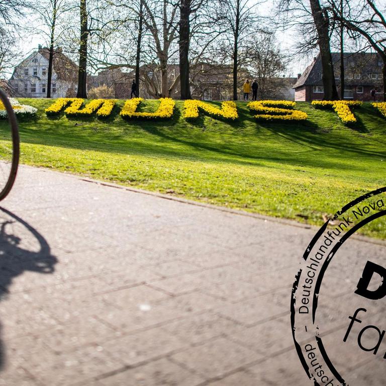Eine Radfahrerin fährt auf der Promenade entlang, im Hintergrund steht der Schriftzug «Münster», aus Blumen gefertigt. Der ADFC-Fahrradklima-Test 2018 ist eine Befragung mit dem Ziel der vergleichbaren Erfassung von Radfahrbedingungen in Staädten und Gemeinden. Die Datenerhebung zum ADFC-Fahrradklima-Test 2018 erfolgte vom 1.9.2018 bis zum 30.11.2018. Deutschlandweit wurden Radfahrer gebeten, ihre Einschätzung zum Radverkehr in ihrer Stadt abzugeben. Mit Denkfabrik-Stempel. Eine Radfahrerin fährt auf der Promenade entlang, im Hintergrund steht der Schriftzug «Münster», aus Blumen gefertigt. Der ADFC-Fahrradklima-Test 2018 ist eine Befragung mit dem Ziel der vergleichbaren Erfassung von Radfahrbedingungen in Staädten und Gemeinden. Die Datenerhebung zum ADFC-Fahrradklima-Test 2018 erfolgte vom 1.9.2018 bis zum 30.11.2018. Deutschlandweit wurden Radfahrer gebeten, ihre Einschätzung zum Radverkehr in ihrer Stadt abzugeben. Mit Denkfabrik-Stempel.