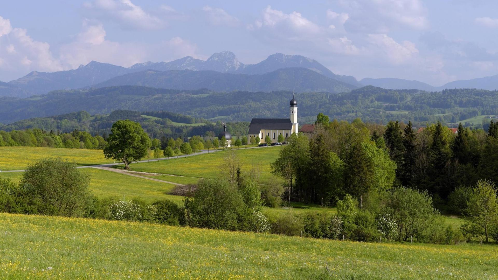 Ein Dorf inmitten von Feldern und Wald Ein Dorf inmitten von Feldern und Wald