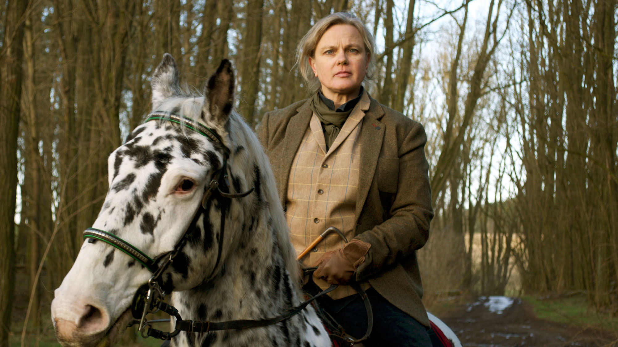 Schriftstellerin Karen Duve Taxis, Tiere, Texte