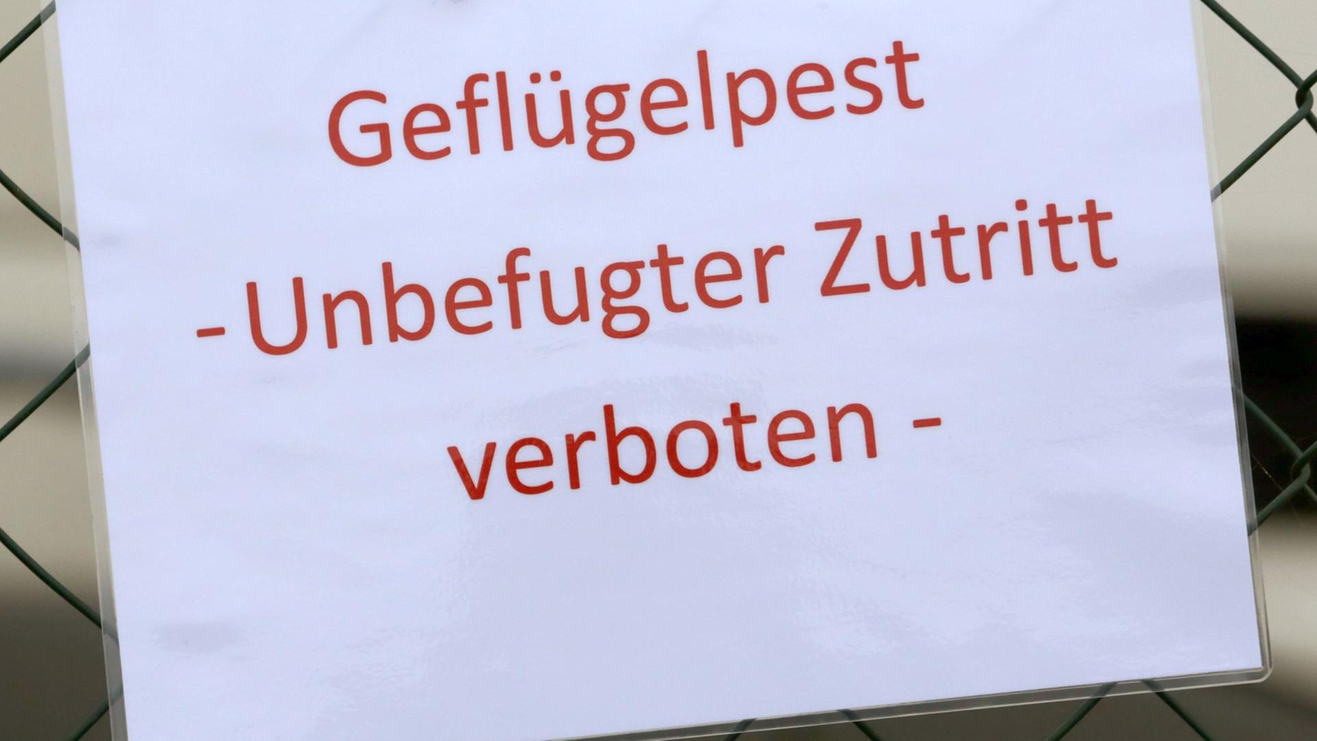 Ein Schild informiert am 06.11.2014 über den Ausbruch der Geflügelpest in einem Mastputenbetrieb im Kreis Vorpommern-Greifswald. Ein Schild informiert am 06.11.2014 über den Ausbruch der Geflügelpest in einem Mastputenbetrieb im Kreis Vorpommern-Greifswald.