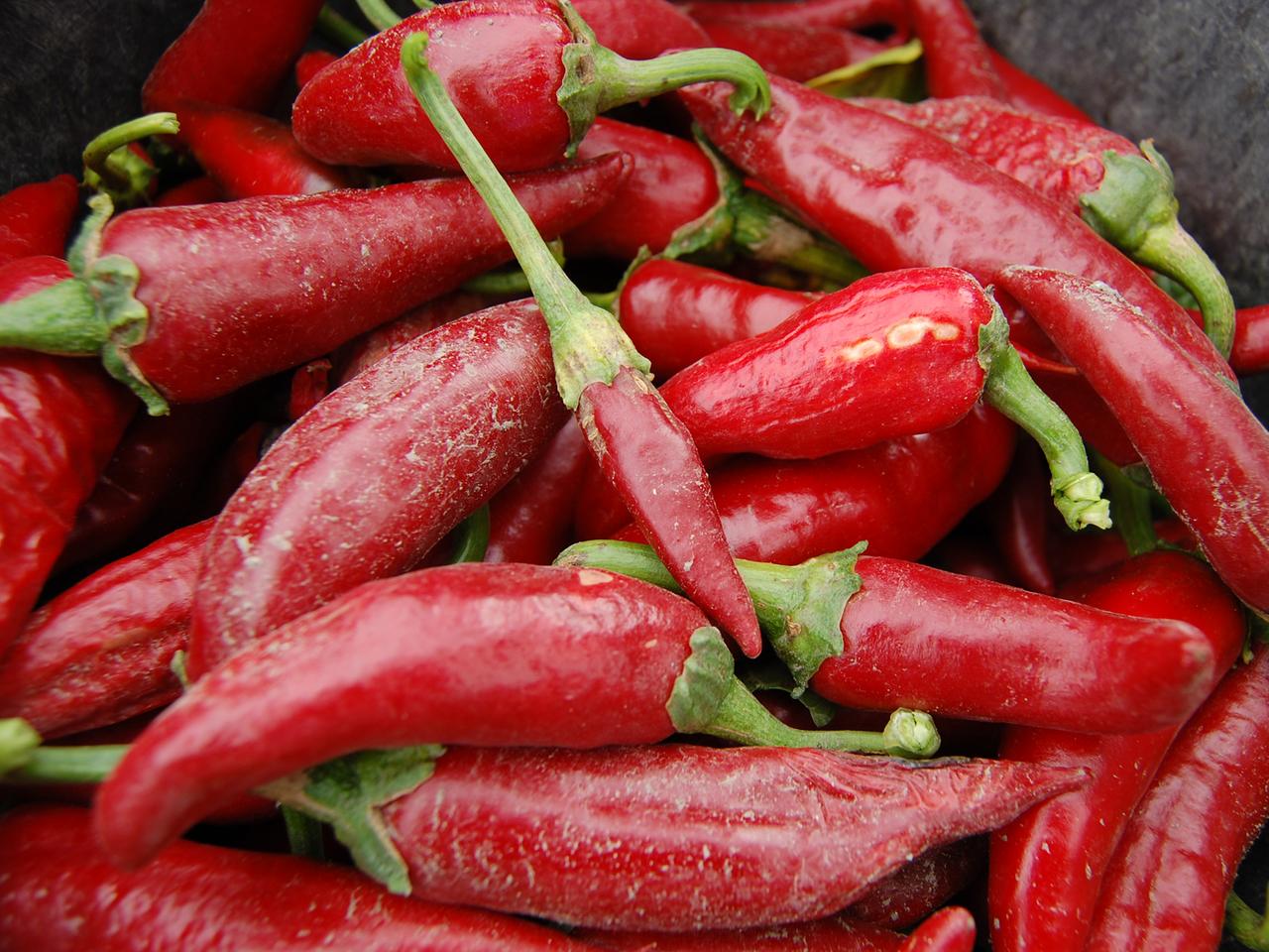 Geerntete Paprika Geerntete Paprika