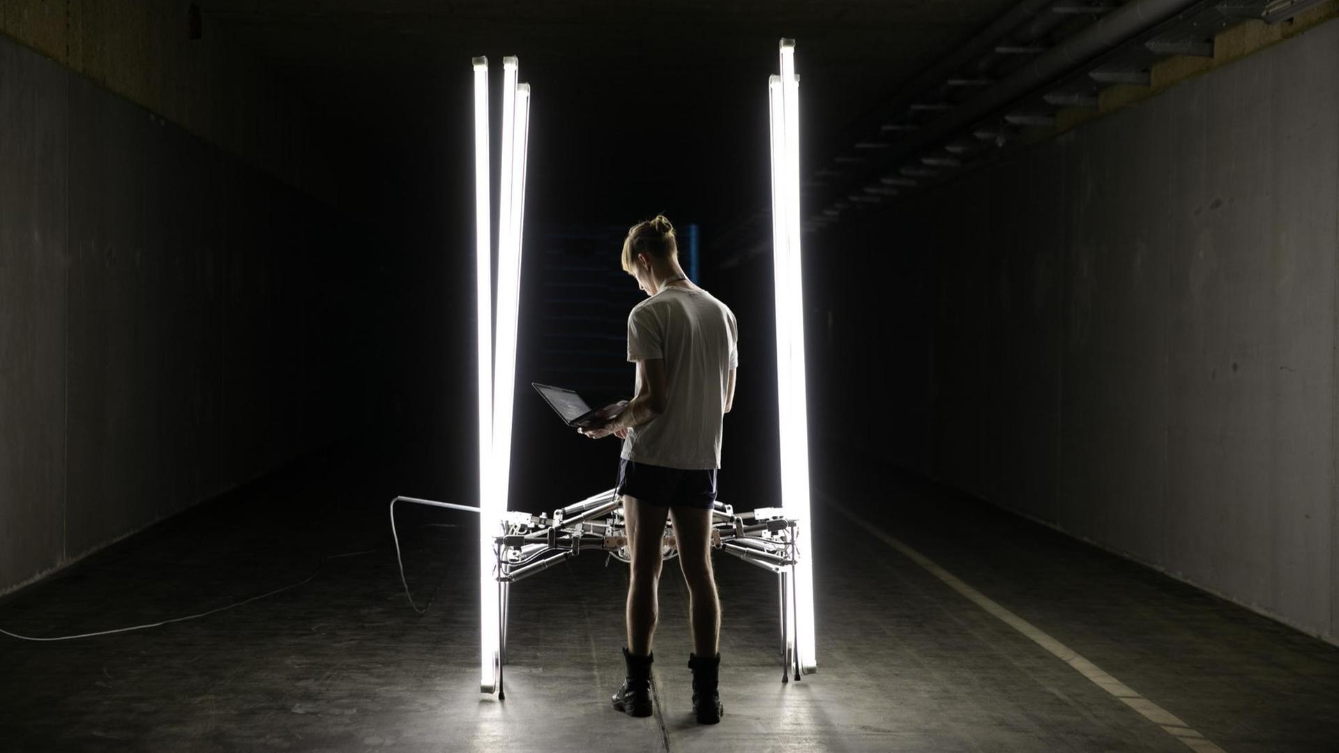 Das Foto zeigt ein Kunstwerk auf der Ars Electronica: Es besteht unter anderem aus senkrecht aufgestellten, hell erleuchteten Neonröhren in einem dunklen Raum. Die Röhren sind durch eine technsiche Konstruktion miteinander verbunden. Das Foto zeigt ein Kunstwerk auf der Ars Electronica: Es besteht unter anderem aus senkrecht aufgestellten, hell erleuchteten Neonröhren in einem dunklen Raum. Die Röhren sind durch eine technsiche Konstruktion miteinander verbunden.