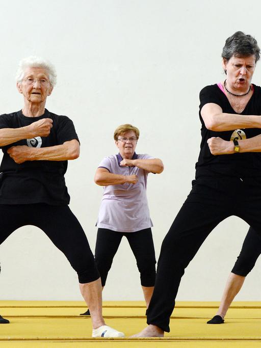 Die im Guinness-Buch der Rekorde als älteste aktive Turnerin der Welt geführte 89-jährige Johanna Quaas (3.v.l.) turnt am 22.06.2015 in ihrer Heimatstadt Halle (Sachsen-Anhalt) mit ihrer Aroha-Sportgruppe.