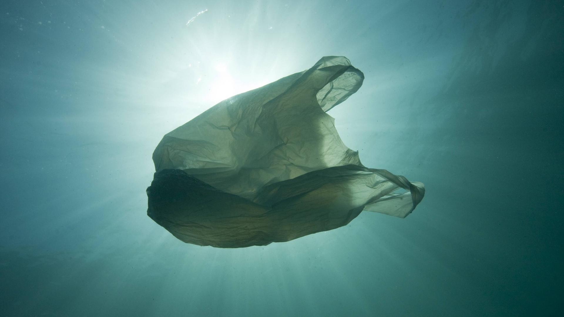 Eine Plastiktüte schwimmt ähnlich wie eine Qualle im Meer. Die Sonne scheint von oben auf die Tüte, der Rand ist dunkel. Eine Plastiktüte schwimmt ähnlich wie eine Qualle im Meer. Die Sonne scheint von oben auf die Tüte, der Rand ist dunkel.