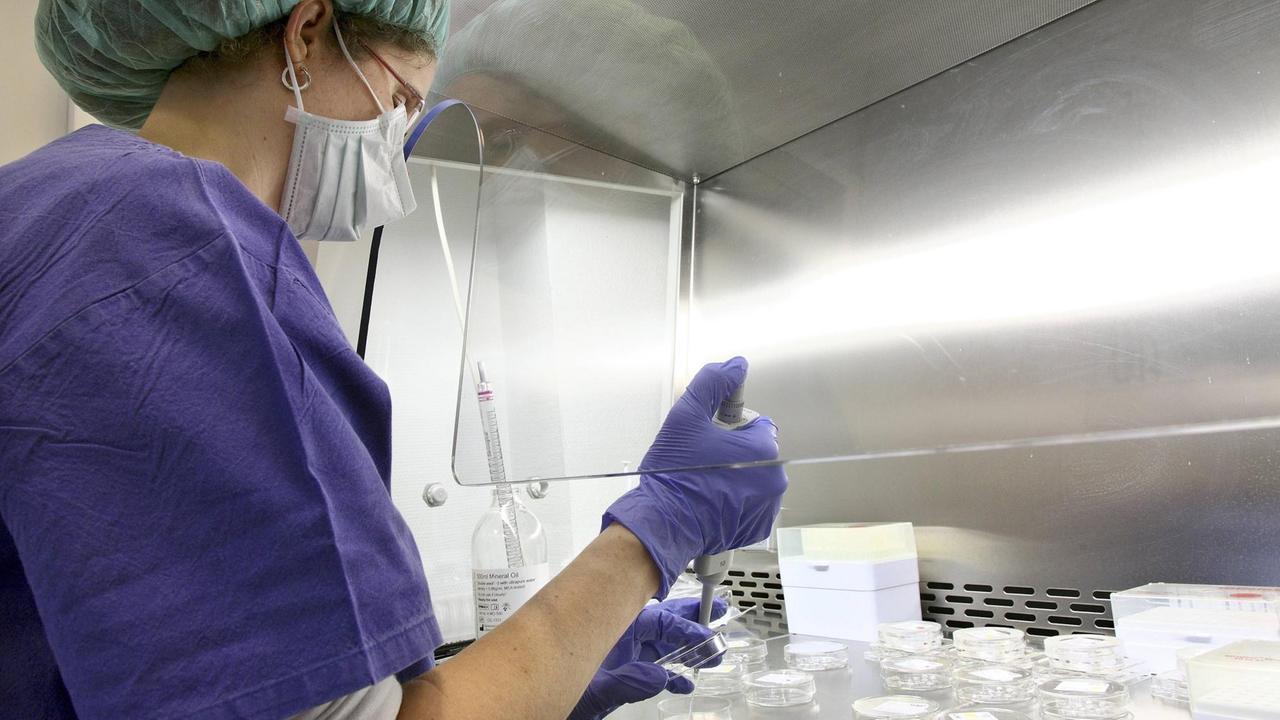 Ansetzen von Kulturschalen im IVF-Labor (In-Vitro-Fertilisation). Die Eizellen werden mit dem aufbereiteten Sperma in einem Reagenzglas zusammengebracht. Ansetzen von Kulturschalen im IVF-Labor (In-Vitro-Fertilisation). Die Eizellen werden mit dem aufbereiteten Sperma in einem Reagenzglas zusammengebracht.