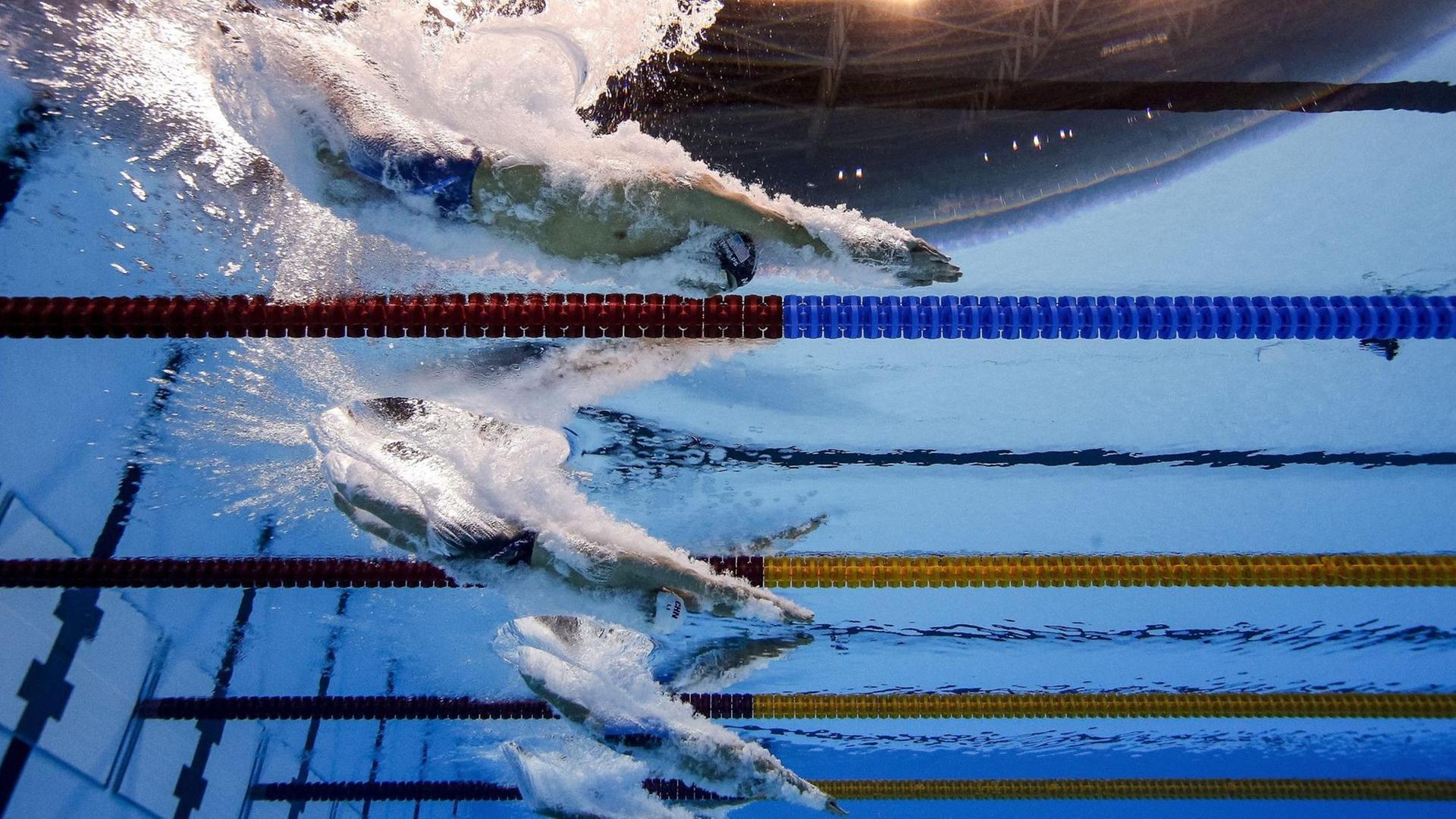 Schwimmer bei den Olympischen Sommerspielen in Rio 2016 Schwimmer bei den Olympischen Sommerspielen in Rio 2016
