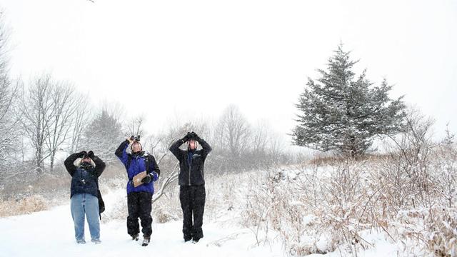 Drei Personen stehen auf einem schneebedeckten Feld und schauen mit Ferngläsern in den Himmel.